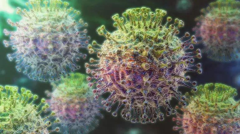 delhi-ncr-h1n1-swine-flu-cases-risk-symptoms-prevention