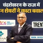 chandrasekaran-tata-shares-10-stocks-returns-trent-tcs-titan