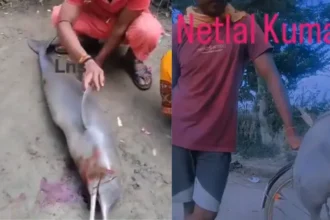 ganga-dolphin-viral-video-bihar-cycle-reel-controversy
