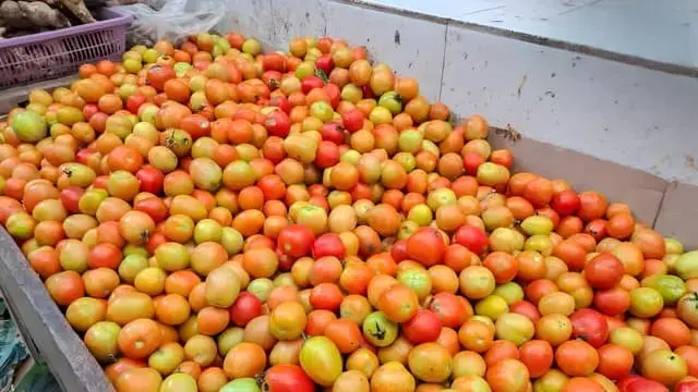 asia-ki-sabse-badi-tamatar-mandi-madanapalle-12-lakh-ton-tamatar-vyapar
