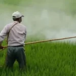 horticulture-subsidy-rules-nhb-new-guidelines-ministers-mp-mla