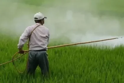 horticulture-subsidy-rules-nhb-new-guidelines-ministers-mp-mla