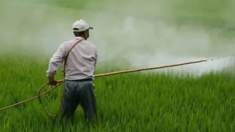 horticulture-subsidy-rules-nhb-new-guidelines-ministers-mp-mla