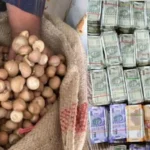 bangladesh-ke-naam-par-bharat-aa-rahi-thi-supari-dri-action-2500-crore-revenue-loss
