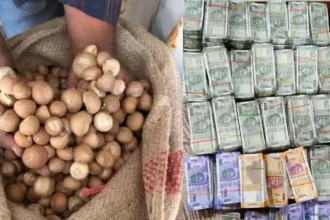 bangladesh-ke-naam-par-bharat-aa-rahi-thi-supari-dri-action-2500-crore-revenue-loss