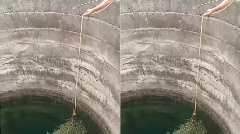 snake-rescue-video-cobra-stuck-50-feet-deep-well-khargone