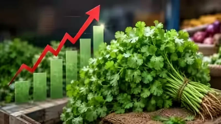 coriander-price-hike-dhania-price-rain-supply-crisis