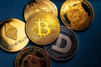 crypto-investment-1995-96-mutual-fund-bitdelta-ceo-vikas-sachdeva