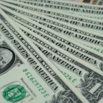 fpi-buying-in-august-indian-stocks-16621-crore-investment