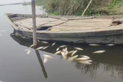 yamuna-fish-microplastic-delhi-vs-haryana-du-study