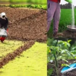 fertiliser-tracking-government-digital-platform-fertilizer-supply-monitoring