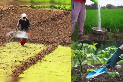fertiliser-tracking-government-digital-platform-fertilizer-supply-monitoring