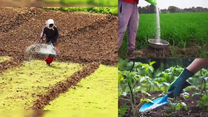 fertiliser-tracking-government-digital-platform-fertilizer-supply-monitoring