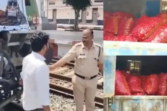 rotten-onions-supply-kanda-express-delhi-lasalgaon-pyaz