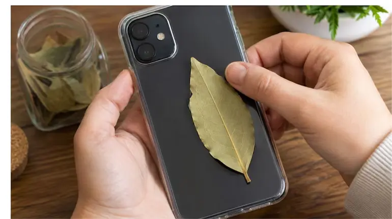 phone-case-me-tejpatta-rakhne-ke-fayde
