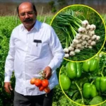 success-story-10th-pass-kisan-madhusudan-dhakad-5-crore-rupees-farming