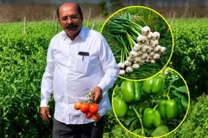 success-story-10th-pass-kisan-madhusudan-dhakad-5-crore-rupees-farming