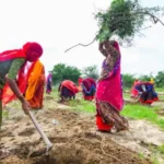 vb-g-ram-g-employment-50-percent-decline-reason