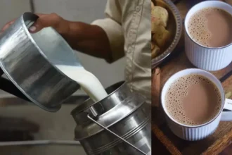 mumbai-milk-price-hike-ethanol-maize-cattle-feed-cost
