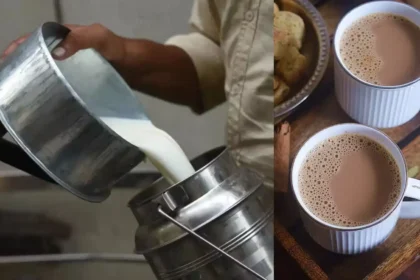 mumbai-milk-price-hike-ethanol-maize-cattle-feed-cost