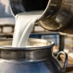 mumbai-milk-price-hike-rs-9-from-september-1-2026