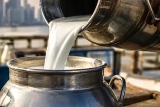 mumbai-milk-price-hike-rs-9-from-september-1-2026