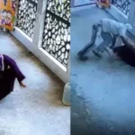 faridabad-school-teacher-murder-masked-attacker-stabbed-teacher-inside-school