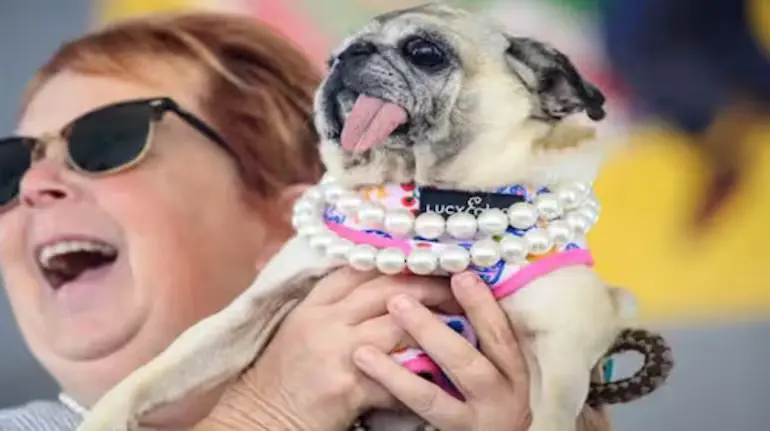 duniya-ka-sabse-badsurat-kutta-jinny-lou-worlds-ugliest-dog-contest-2026