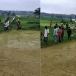 wild-elephant-video-mud-water-field-runs-towards-people