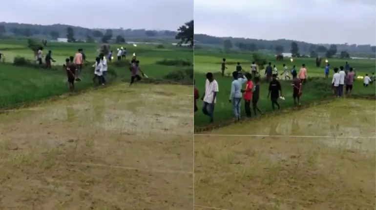 wild-elephant-video-mud-water-field-runs-towards-people