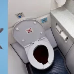 plane-toilet-flush-waste-kahan-jata-hai