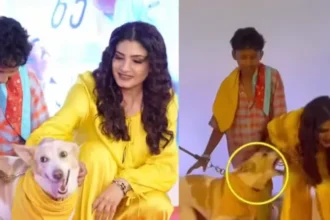 raveena-tandon-dog-attack-video-oh-my-dog-screening