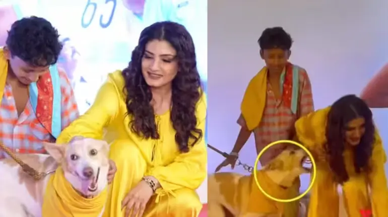raveena-tandon-dog-attack-video-oh-my-dog-screening