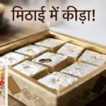 reliance-retail-kaju-katli-worms-fda-action