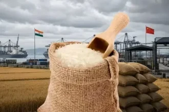 china-suspends-indian-rice-exporters-registration-gmo-row