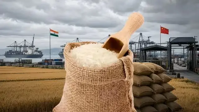 china-suspends-indian-rice-exporters-registration-gmo-row