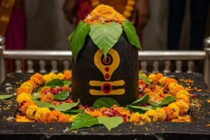 sawan-bel-patra-ke-upay-bilva-tree-diya-benefits