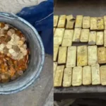 belgium-workers-found-49-gold-bars-treasure-worth-rs-98-crore