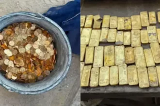 belgium-workers-found-49-gold-bars-treasure-worth-rs-98-crore