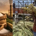 sugar-price-hike-early-sugarcane-crushing-season-government-plan