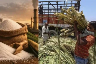 sugar-price-hike-early-sugarcane-crushing-season-government-plan