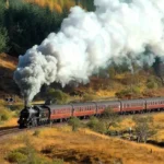 darjeeling-toy-train-special-joy-ride-durga-puja-2026