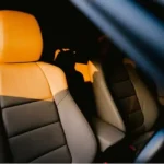 car-leather-seat-kis-jaanwar-ki-khaal-se-banta-hai