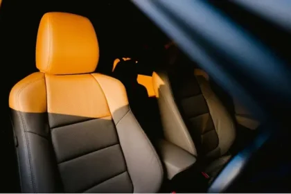 car-leather-seat-kis-jaanwar-ki-khaal-se-banta-hai