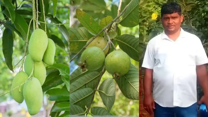 success-story-upendra-kumar-pradhan-guava-mango-farming-17-lakh-income