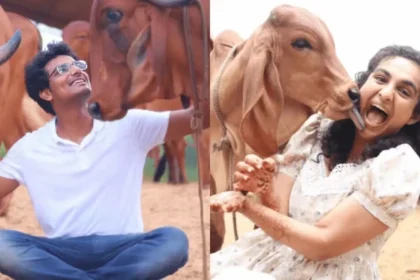 success-story-vibhor-ishita-jain-kinaya-organic-farms-2-4-crore-business