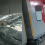 train-pantry-rat-video-industry-nagari-express-food-hygiene
