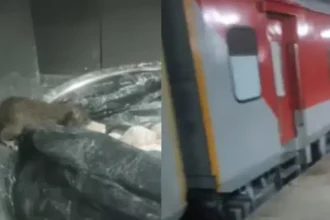 train-pantry-rat-video-industry-nagari-express-food-hygiene