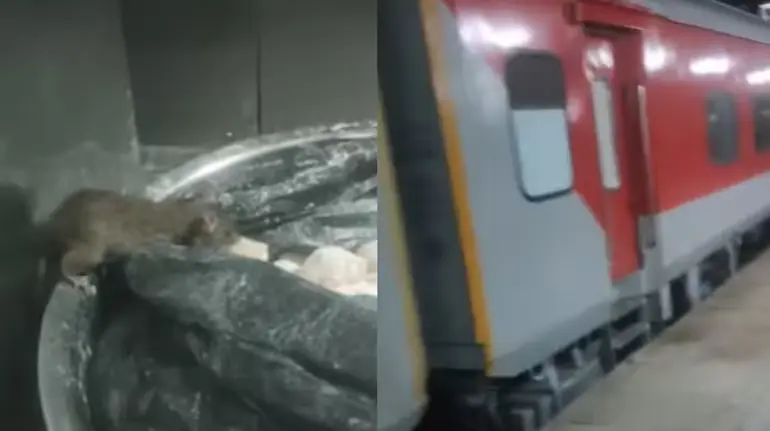 train-pantry-rat-video-industry-nagari-express-food-hygiene