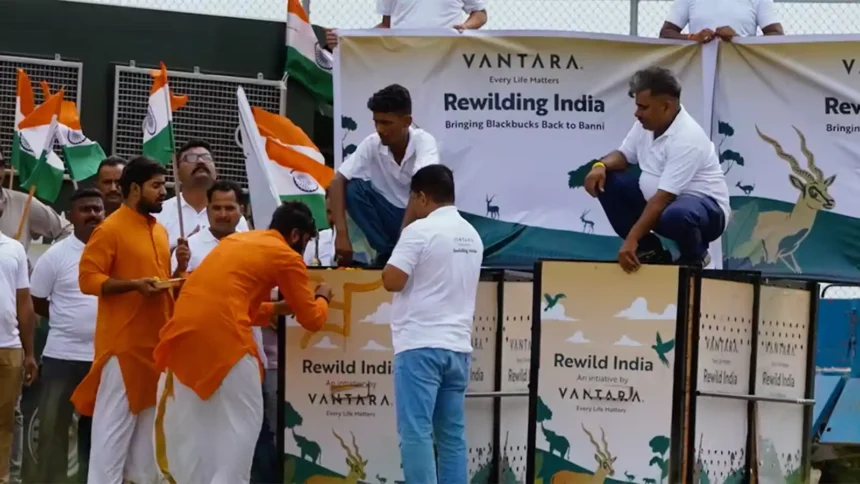 80th-independence-day-vantara-blackbucks-banni-grassland